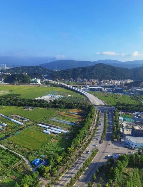 乐清天气预警15天？乐清天气预报十五天？  第6张