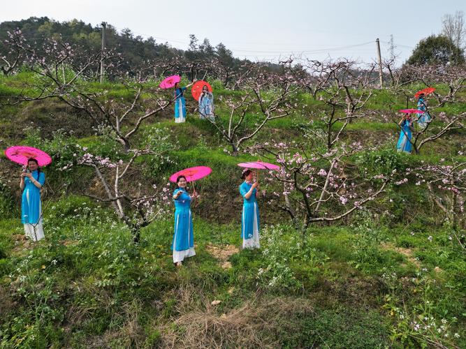 绥棱天气预报15号？绥棱 天气？  第2张