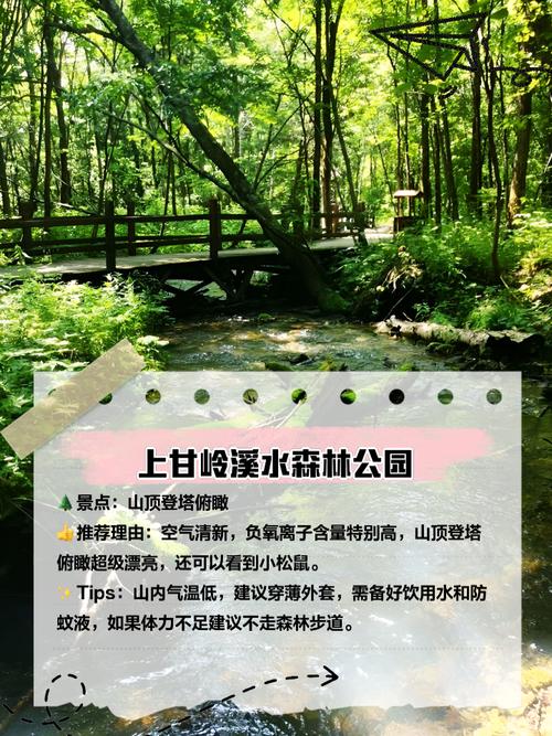 绥棱天气预报15号？绥棱 天气？  第3张