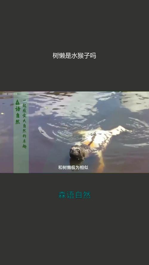 水猴子长什么样？水猴子长什么样子？  第1张