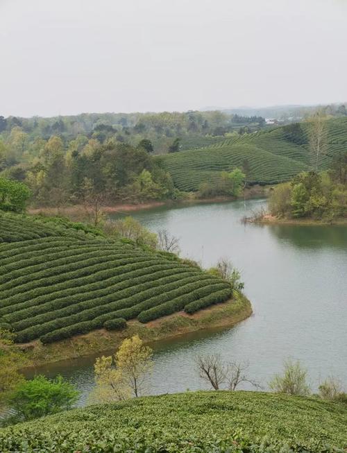 河南信阳天气潮湿吗，信阳气候潮湿吗  第3张