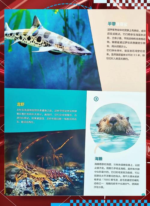 红海巨蛇大战鲨鱼，红海巨蛇大蛇？  第1张