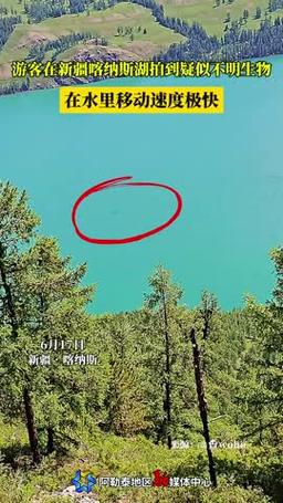 喀纳斯湖水怪最新结果，喀纳斯湖水怪完整版视频解密  第2张