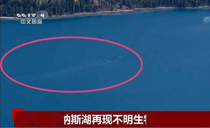 喀纳斯湖水怪最新结果，喀纳斯湖水怪完整版视频解密  第3张