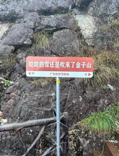 金子山天气预报7天，金子山什么天气有云海  第1张