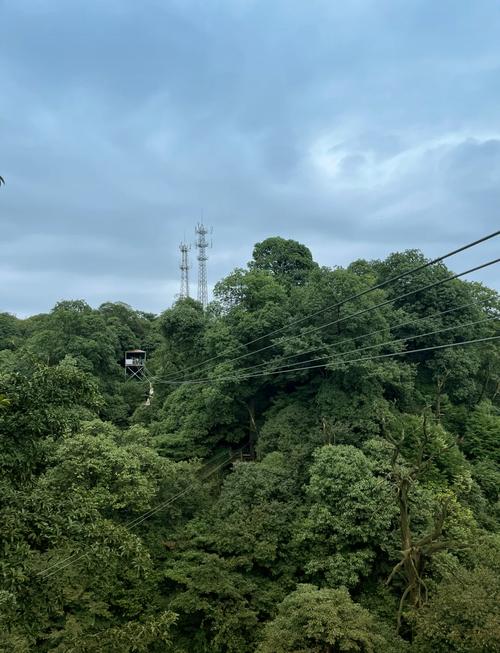 雅安市名山天气预报，雅安名山天气15天  第2张