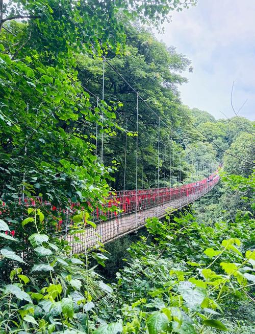 雅安市名山天气预报，雅安名山天气15天  第4张