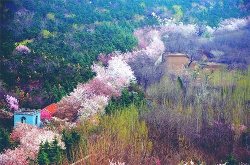 山东邹平十天气预报，邹平十天天气预报？  第3张