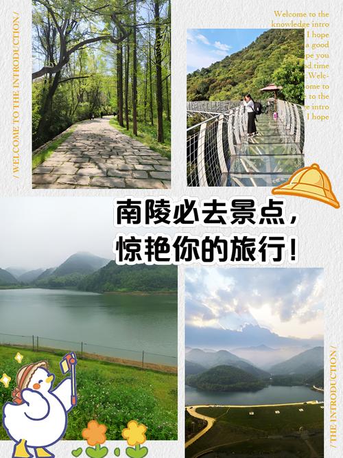 南陵天气预报十五天，南陵天气预报7天  第1张