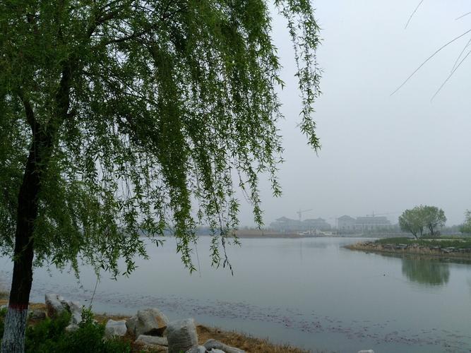 河南省天气预报未来？河南省天气预报未来三天的降雨图？  第5张