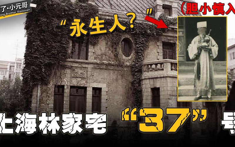 林家宅37号事件小说，林家宅37号事件下集？  第1张