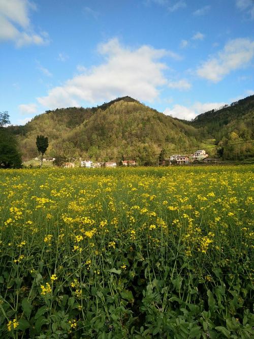 达州25号天气预报，达州25号天气预报查询？  第5张