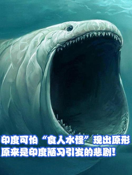 奥卡诺根湖怪？奥卡纳根谷红酒？  第3张