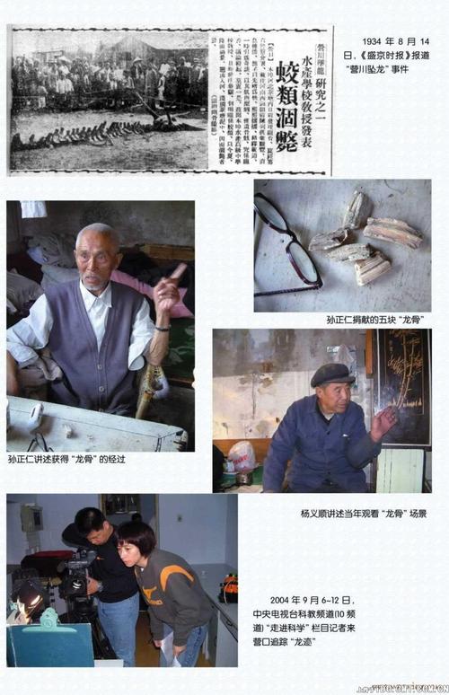 营川坠龙事件真实视频？营川坠龙事件 真相？  第1张