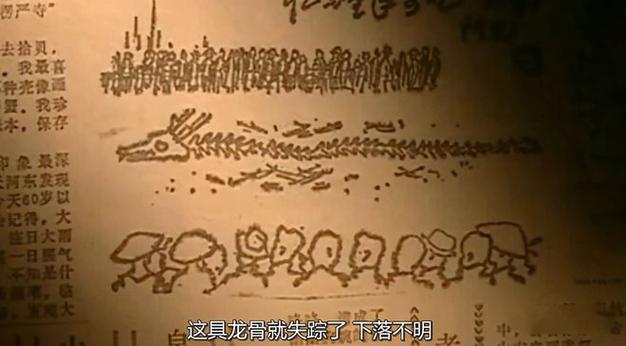 营川坠龙事件真实视频？营川坠龙事件 真相？  第6张