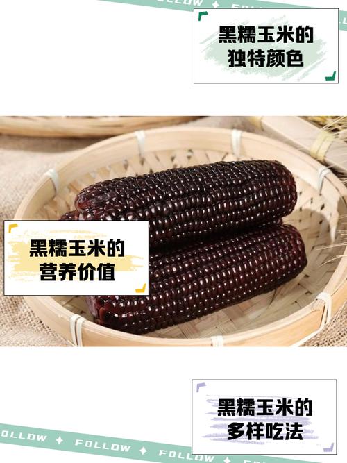 齐齐哈尔天气讷河市，齐齐哈尔讷河市今日温度？  第2张