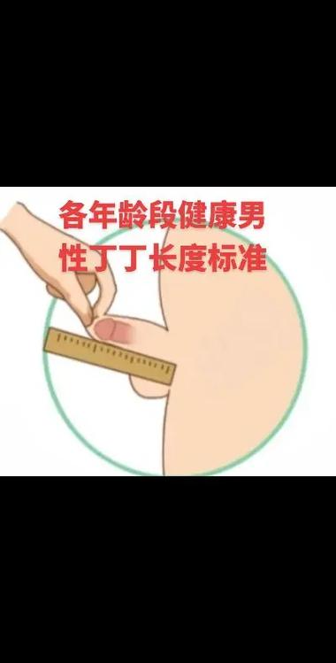 丁丁长度最长的国家图片，丁丁长度世界排名？  第3张