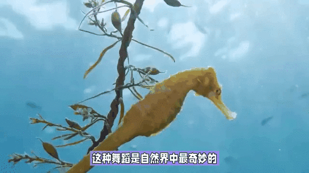 世界奇闻趣事500则，世界奇闻趣事大全？  第2张