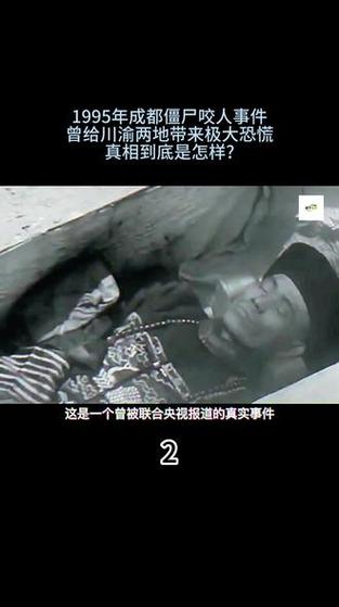95成都僵尸，9595成都僵尸？  第4张
