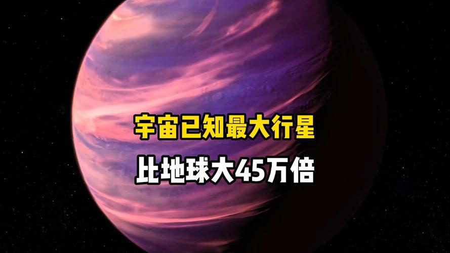 世界上最大的动物是什么动物，世界上最大的动物是什么动物开一个号海洋动物？  第3张