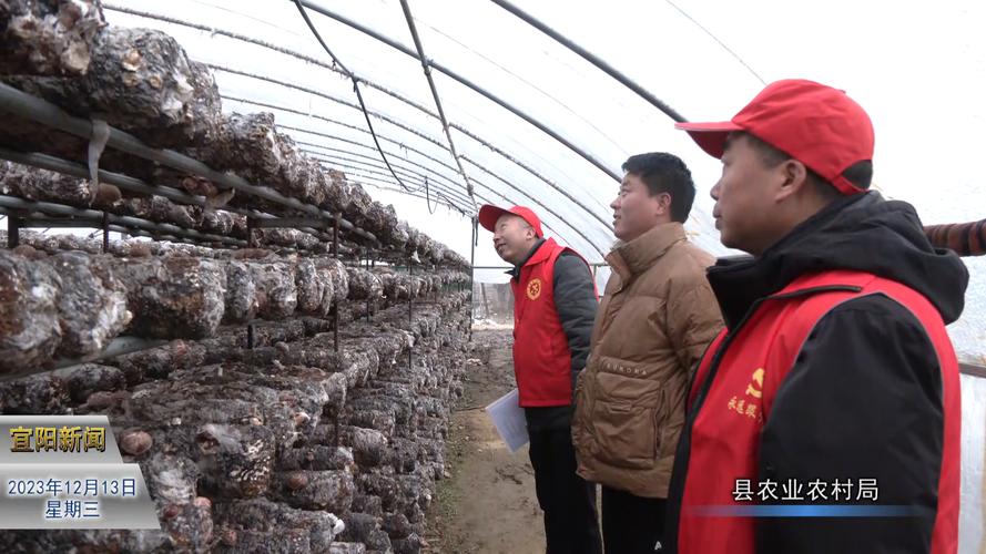 宜阳天气预报四十天？宜阳天气预报40天天气预报？  第5张