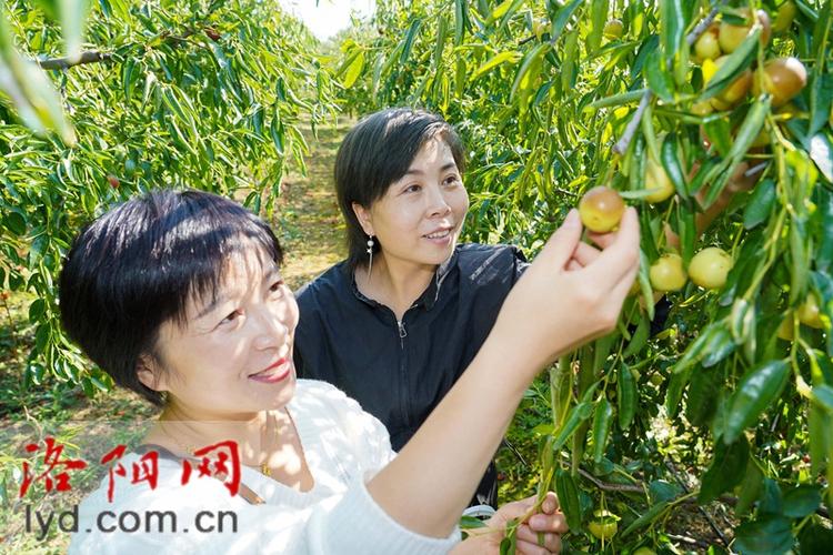 宜阳天气预报四十天？宜阳天气预报40天天气预报？  第6张