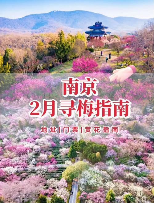 南京天气预报50天，南京天气预报50天准确 预报？  第2张