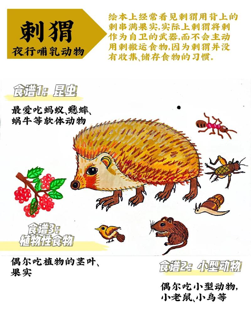 食猴鹰吃什么，食猴鹰吃猴子  第2张
