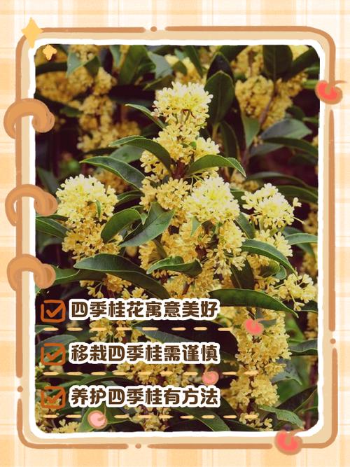 吉水天气预报20号，吉水天气预报15  第1张