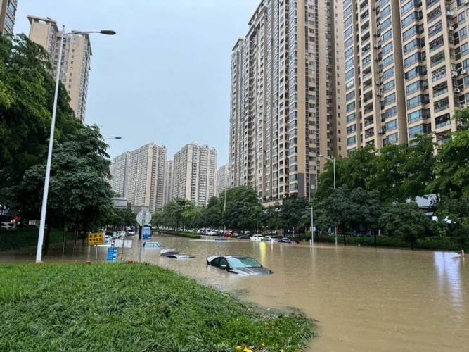 鹿寨明天天气有无霜？鹿寨未来几天的天气？  第1张