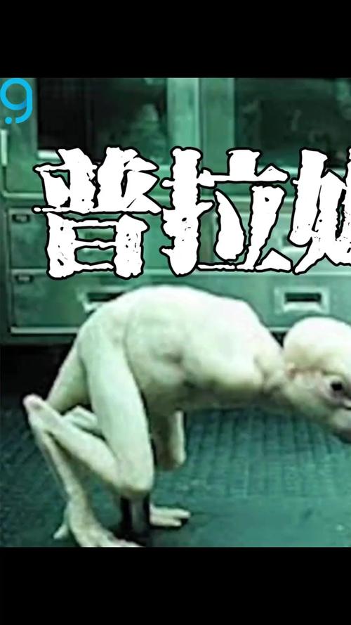 前十未解之谜真实案件？最全前十未解之谜真相？  第2张