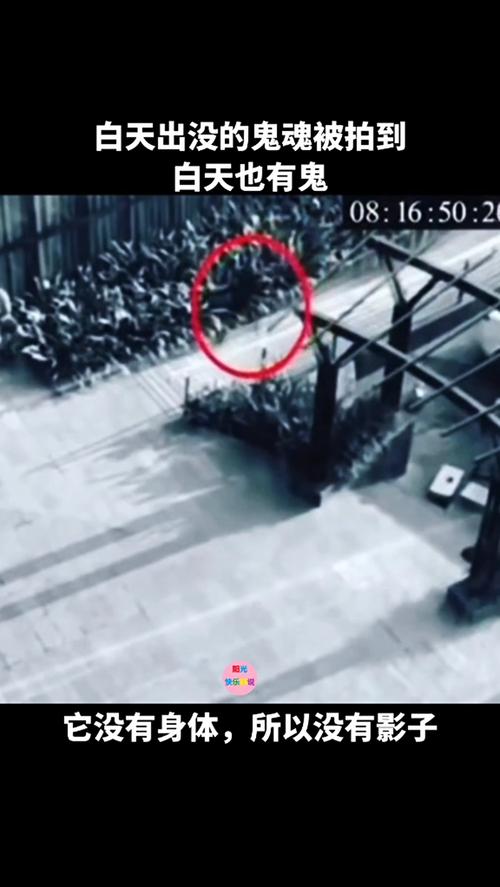 监控下的真鬼视频播放，监控下的真鬼视频播放在线观看  第4张