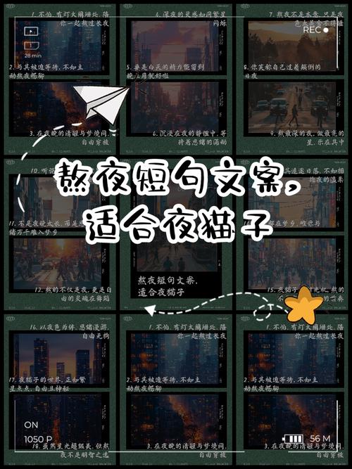 人类未解之谜深夜为什么不困？人类未解之谜深夜为什么不困的图片？  第3张