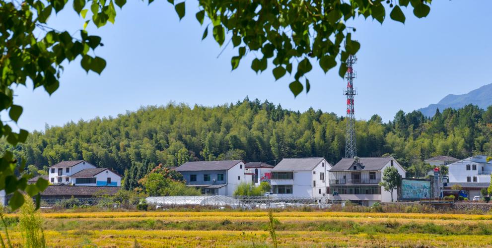资溪未来十五天天气，资溪未来十五天天气怎么样  第1张