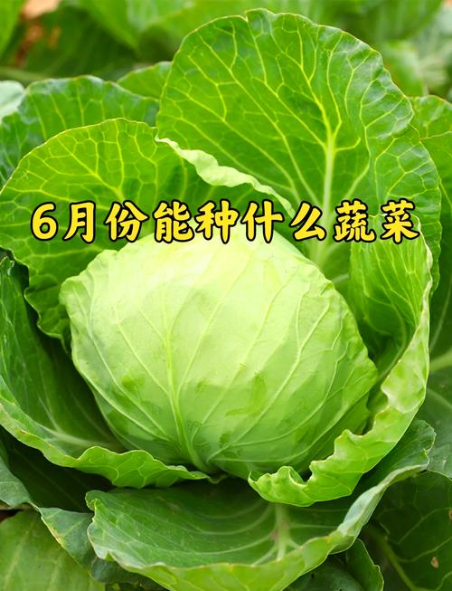 湖南桃源15天天气？湖南桃源天气查询？  第5张