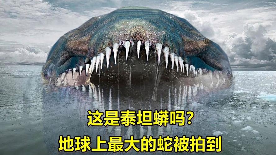 最大的蛇图片？最大的蛇叫什么名字还有他的图片？  第5张