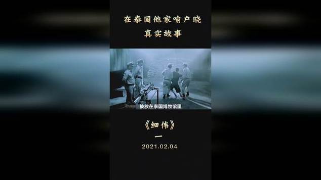 泰国细伟翻案，泰国细伟照片标本  第5张