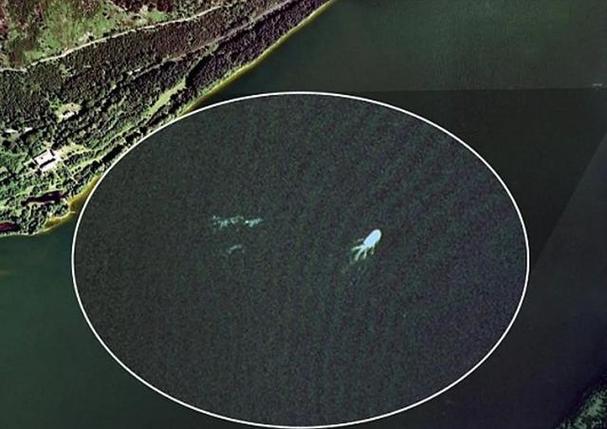 尼斯湖水怪尸骨，34204520  第4张