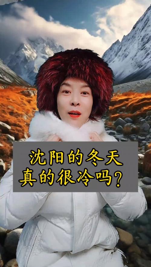 新民十五天天气预报，新民15天天气？  第3张