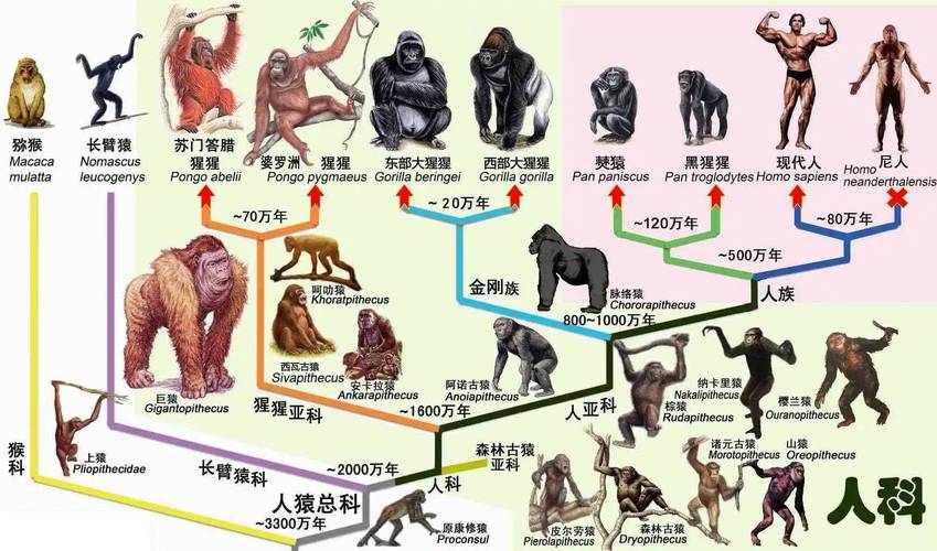 文明根达亚文明，根达亚文明超能力  第5张