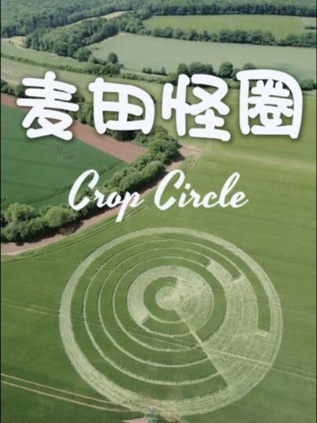 麦田怪圈英文介绍，麦田怪圈图片集合  第6张