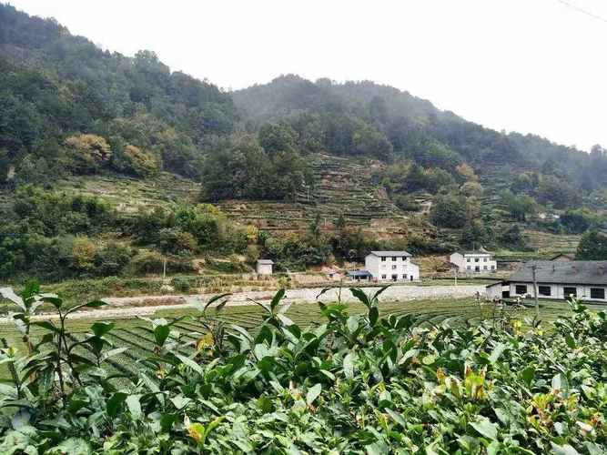 夷陵区天气预报一周，夷陵区天气顸报？  第3张