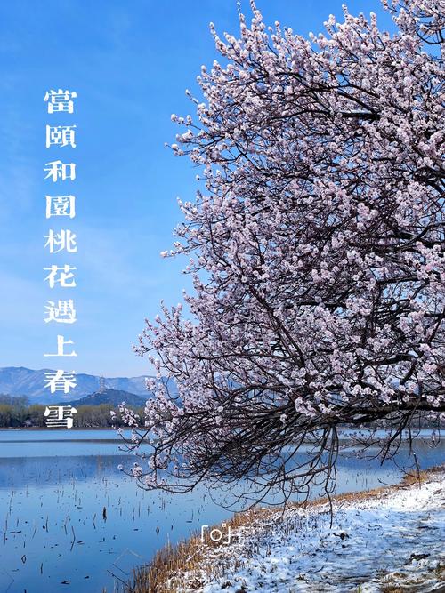 夷陵区天气预报一周，夷陵区天气顸报？  第5张