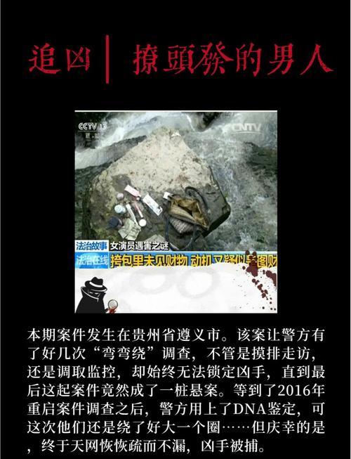 世界前十奇案之谜，世界前十案件之谜排名  第4张