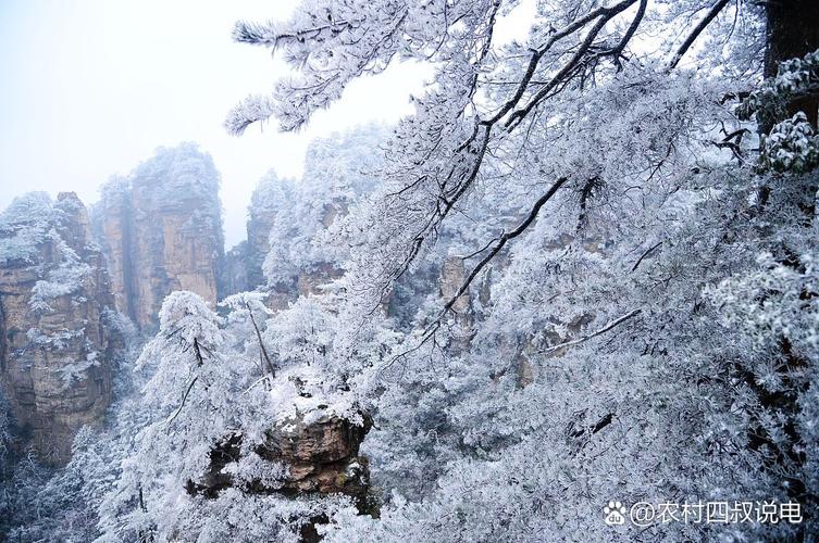 大后天的天气怎么样，大后天天气怎么样天气预报  第5张