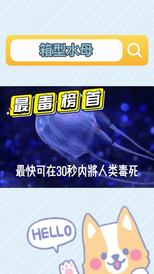 箱水母视频？箱体水母？  第3张