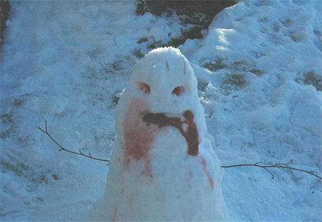 2007东北肢体雪人案，2007东北肢体雪人案小妖？  第2张