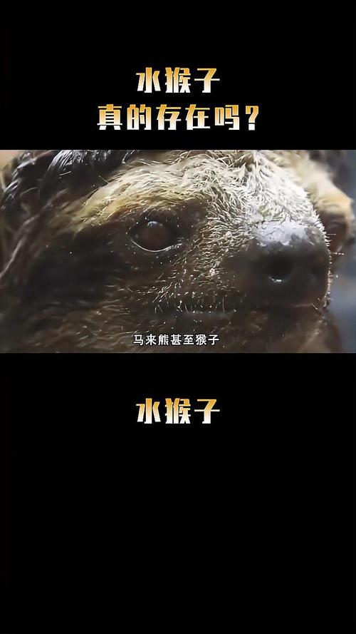 水猴子图片水鬼真实，水猴子图片水鬼抓人？  第3张