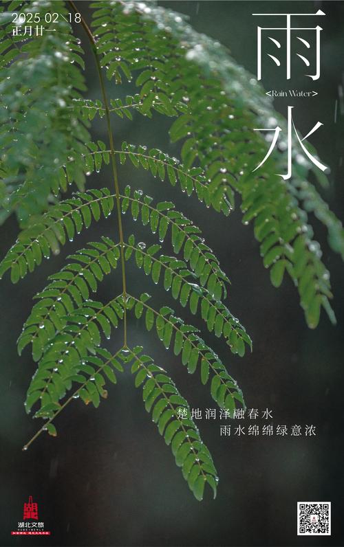 平阳水头镇天气预报？平阳水头镇天气预报15天？  第1张