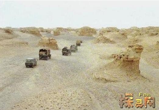 罗布泊恐怖生物照片？罗布泊可怕吗？  第4张